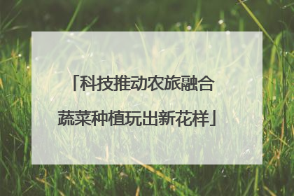 科技推动农旅融合 蔬菜种植玩出新花样